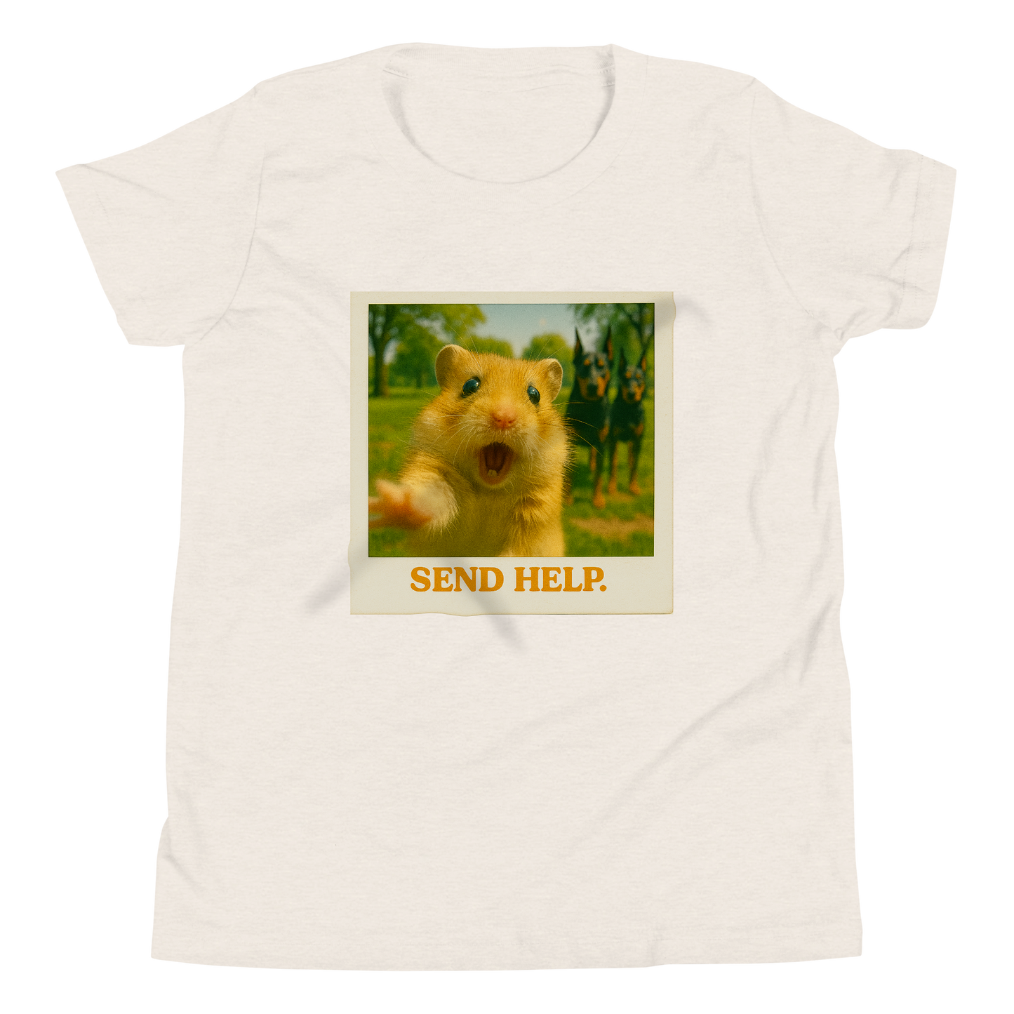 "SEND HELP" • Youth T-Shirt