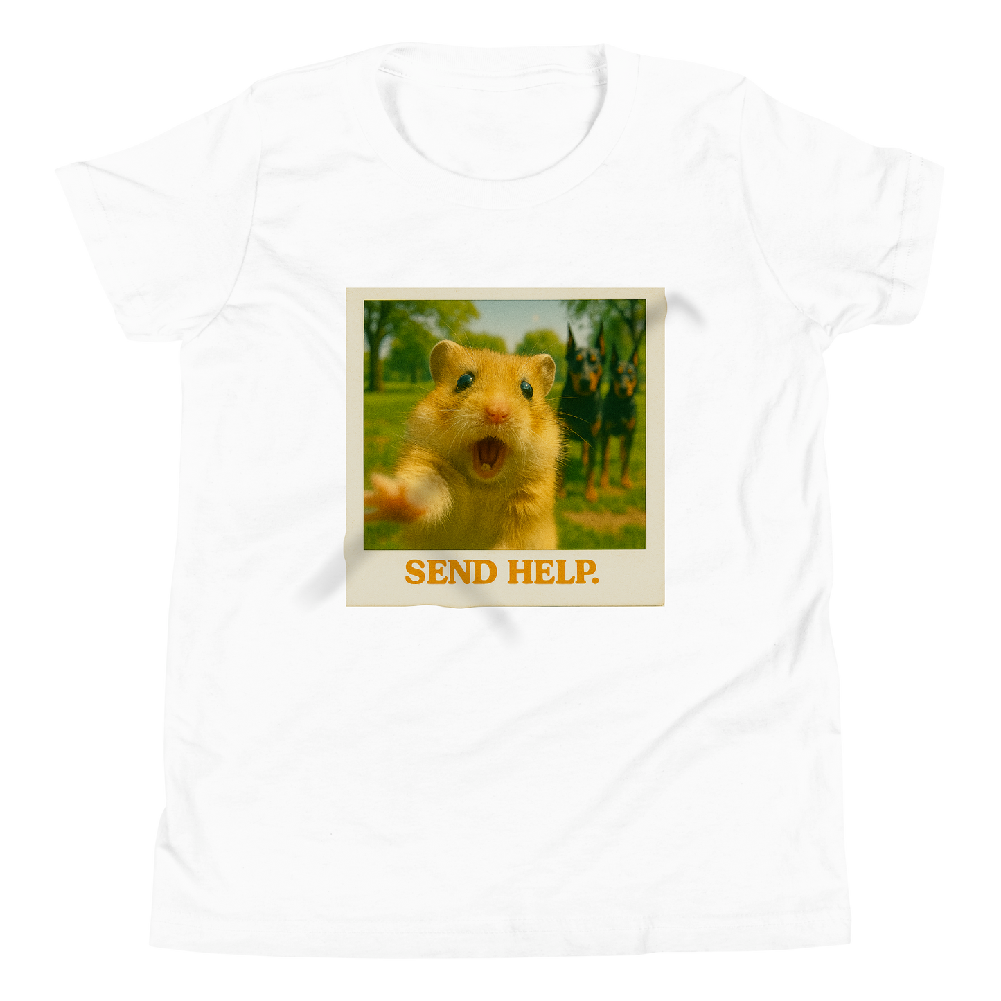 "SEND HELP" • Youth T-Shirt