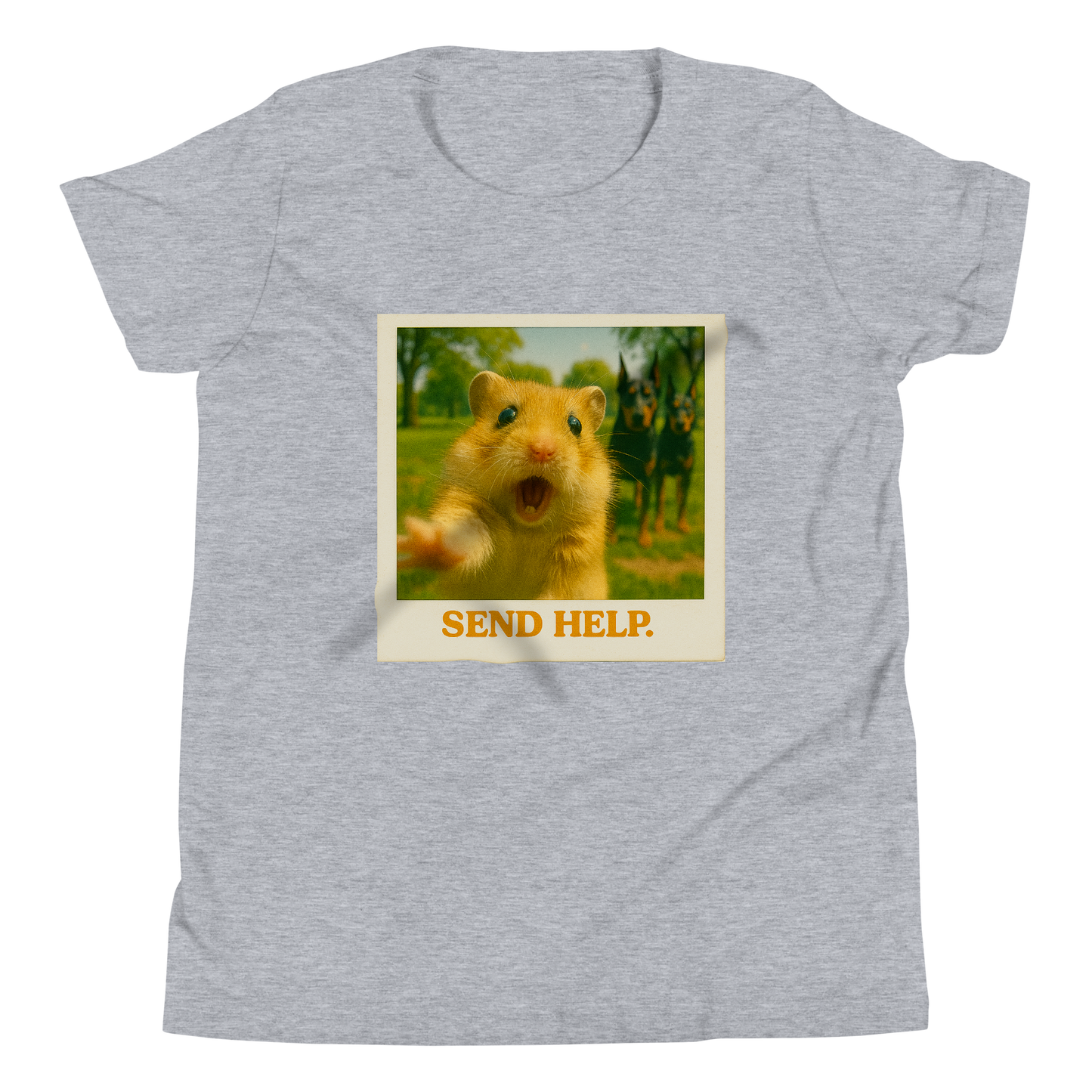 "SEND HELP" • Youth T-Shirt