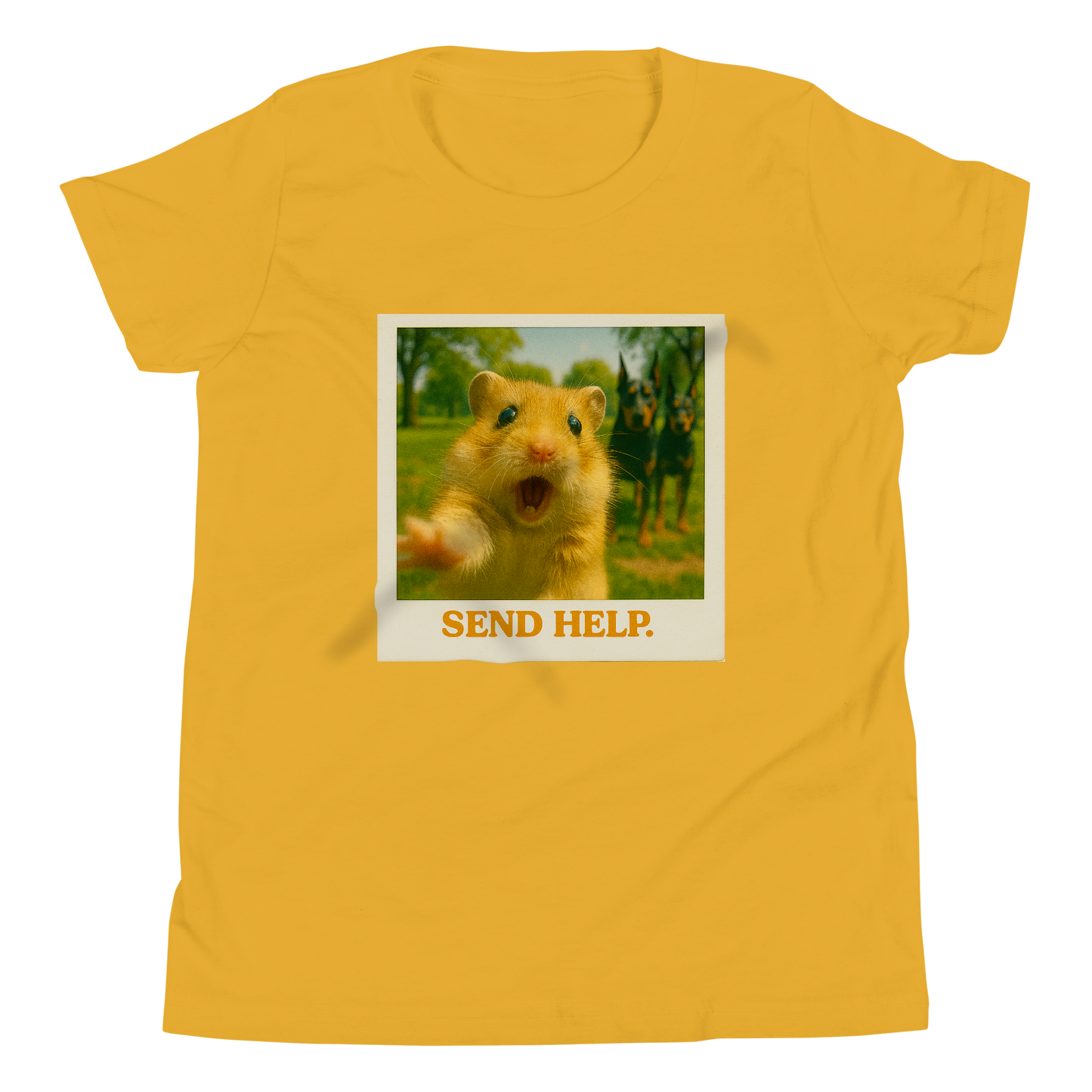 "SEND HELP" • Youth T-Shirt