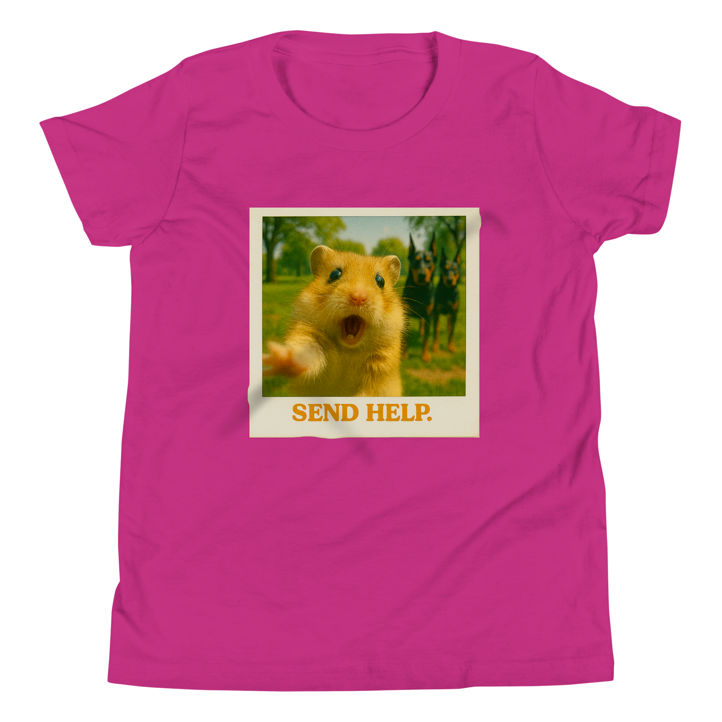 "SEND HELP" • Youth T-Shirt