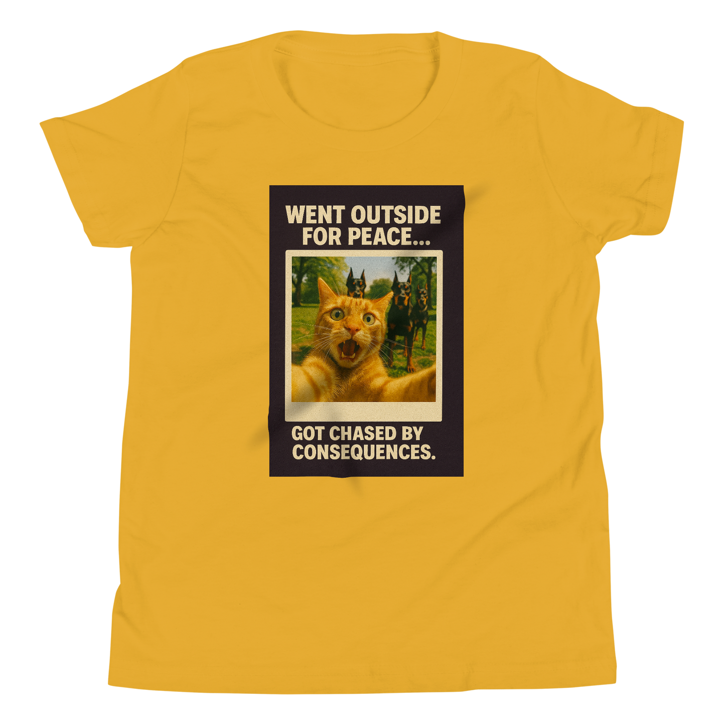 "WENT OUTSIDE FOR PEACE..." • Youth T-Shirt