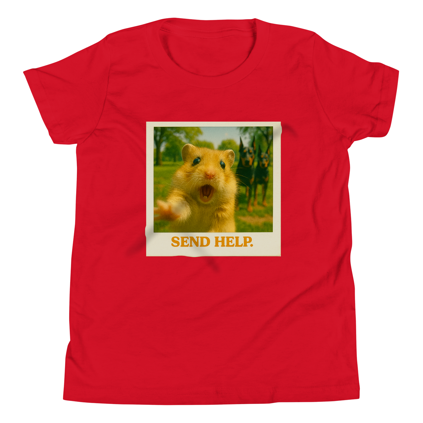 "SEND HELP" • Youth T-Shirt