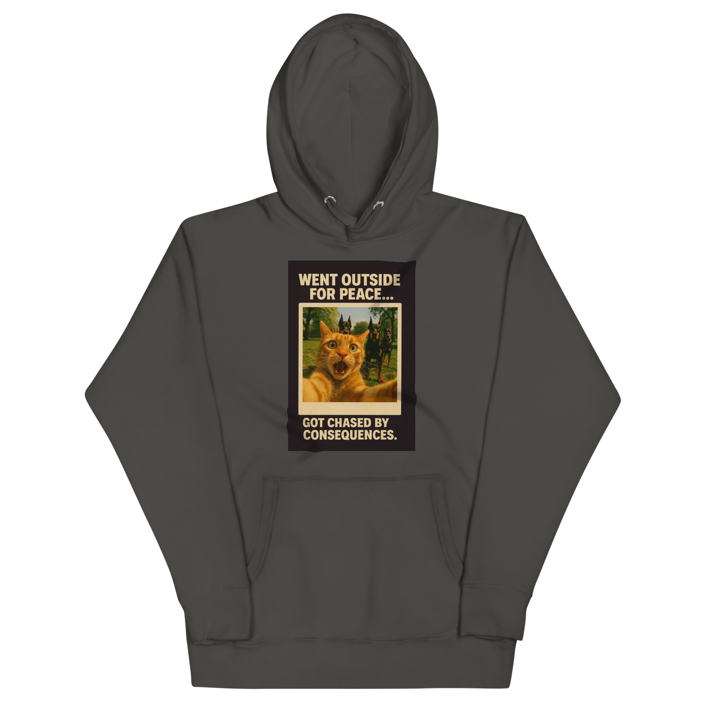 "WENT OUTSIDE FOR PEACE" • Premium Hoodie