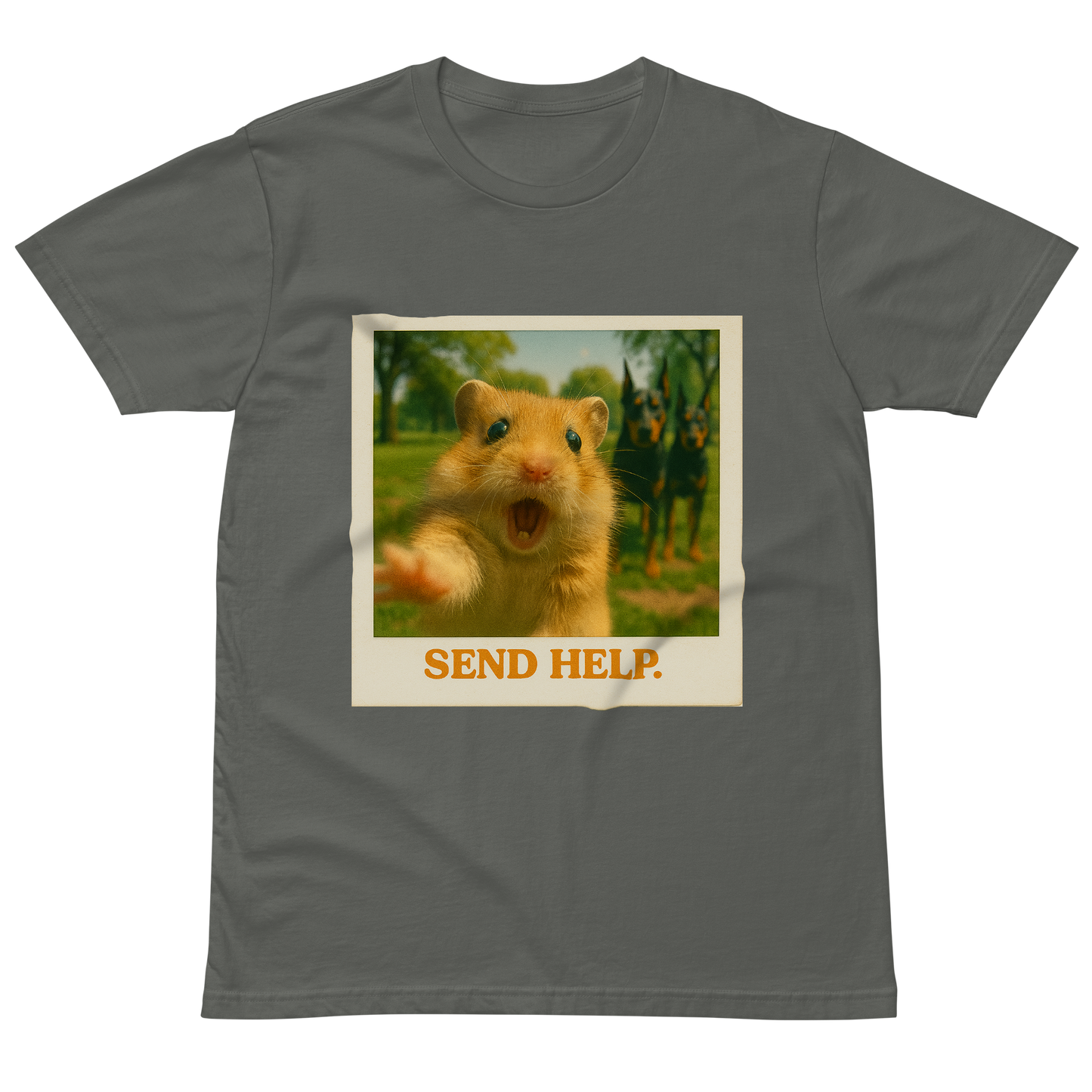 "SEND HELP" • Premium T-shirt
