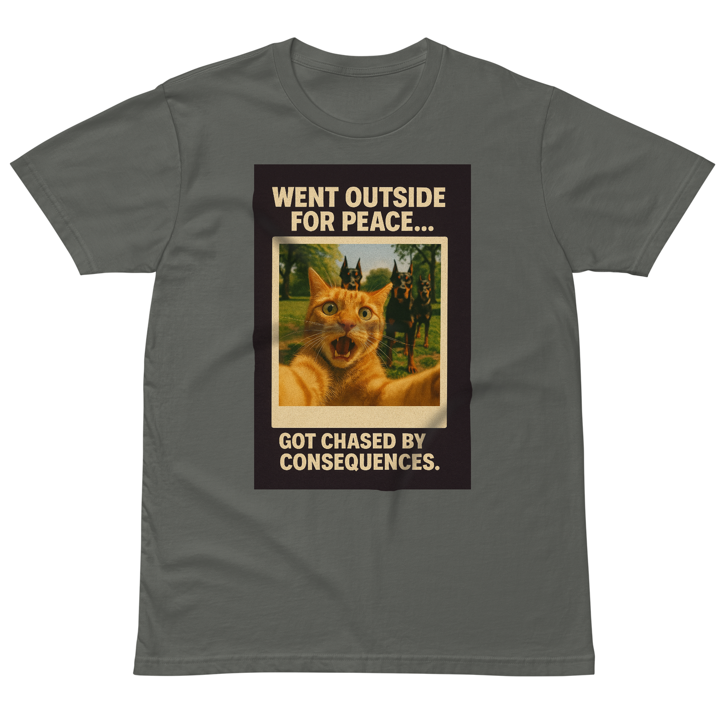 "WENT OUTSIDE FOR PEACE..." • Premium T-shirt