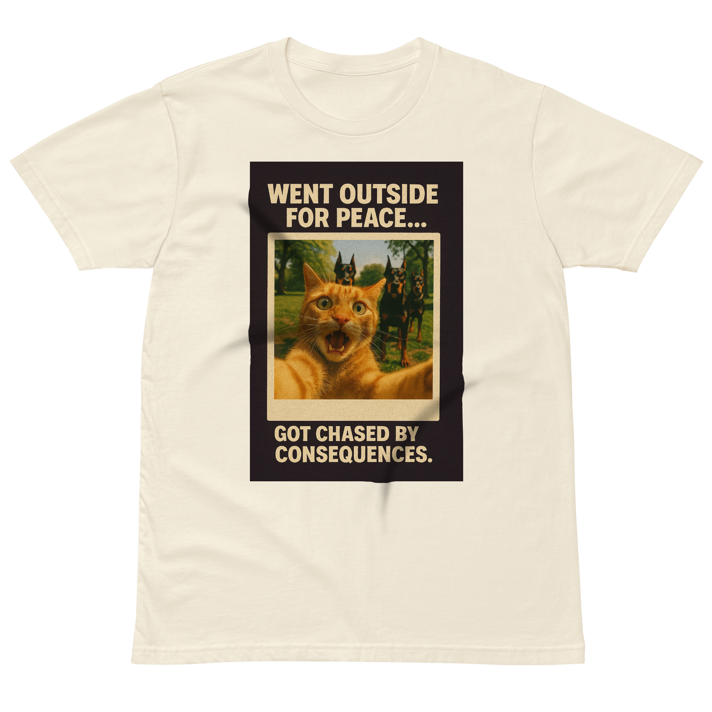 "WENT OUTSIDE FOR PEACE..." • Premium T-shirt