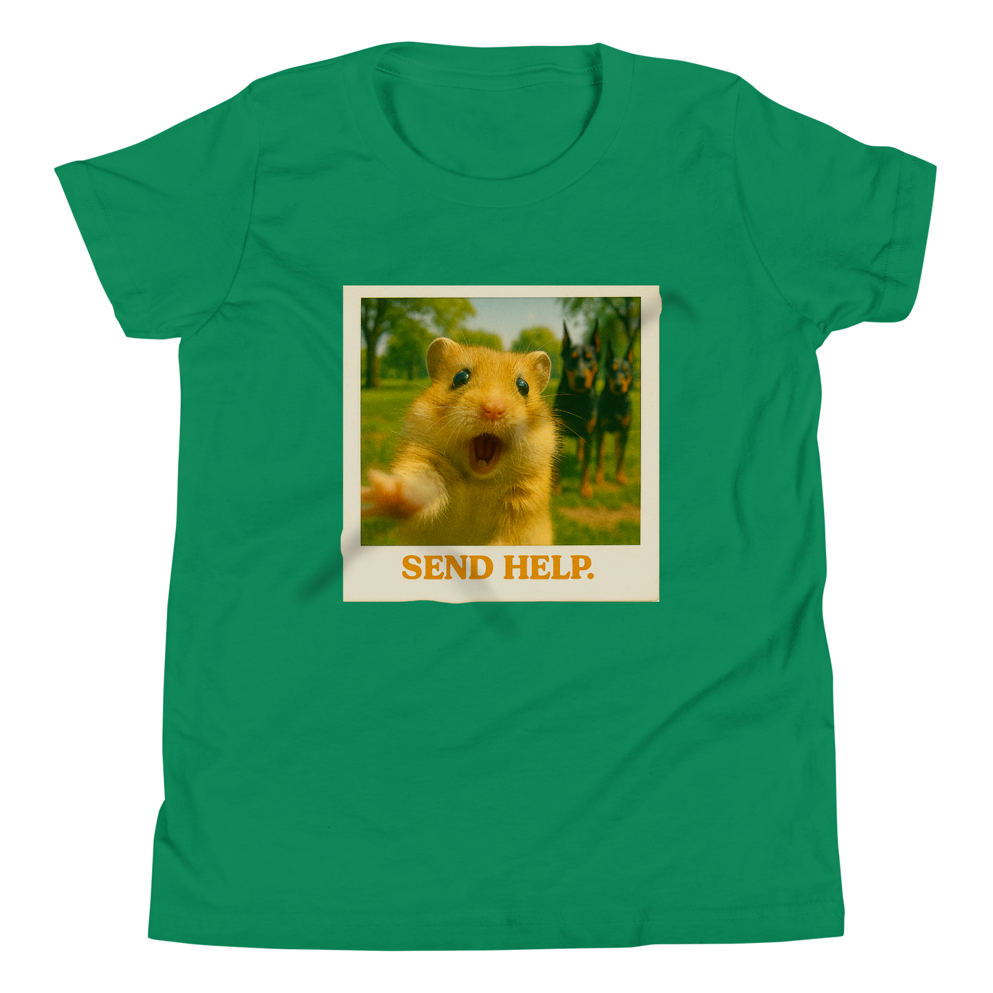 "SEND HELP" • Youth T-Shirt