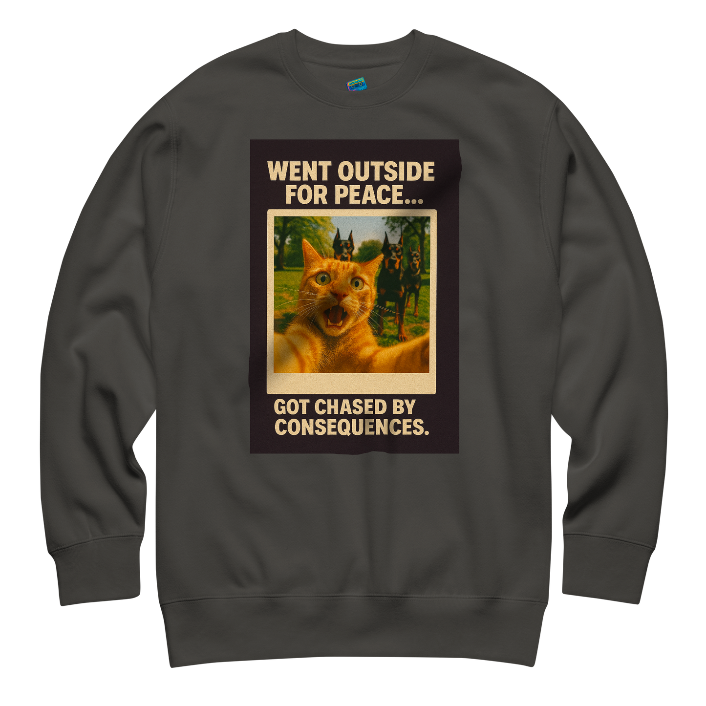 "WENT OUTSIDE FOR PEACE..." • Premium Sweatshirt