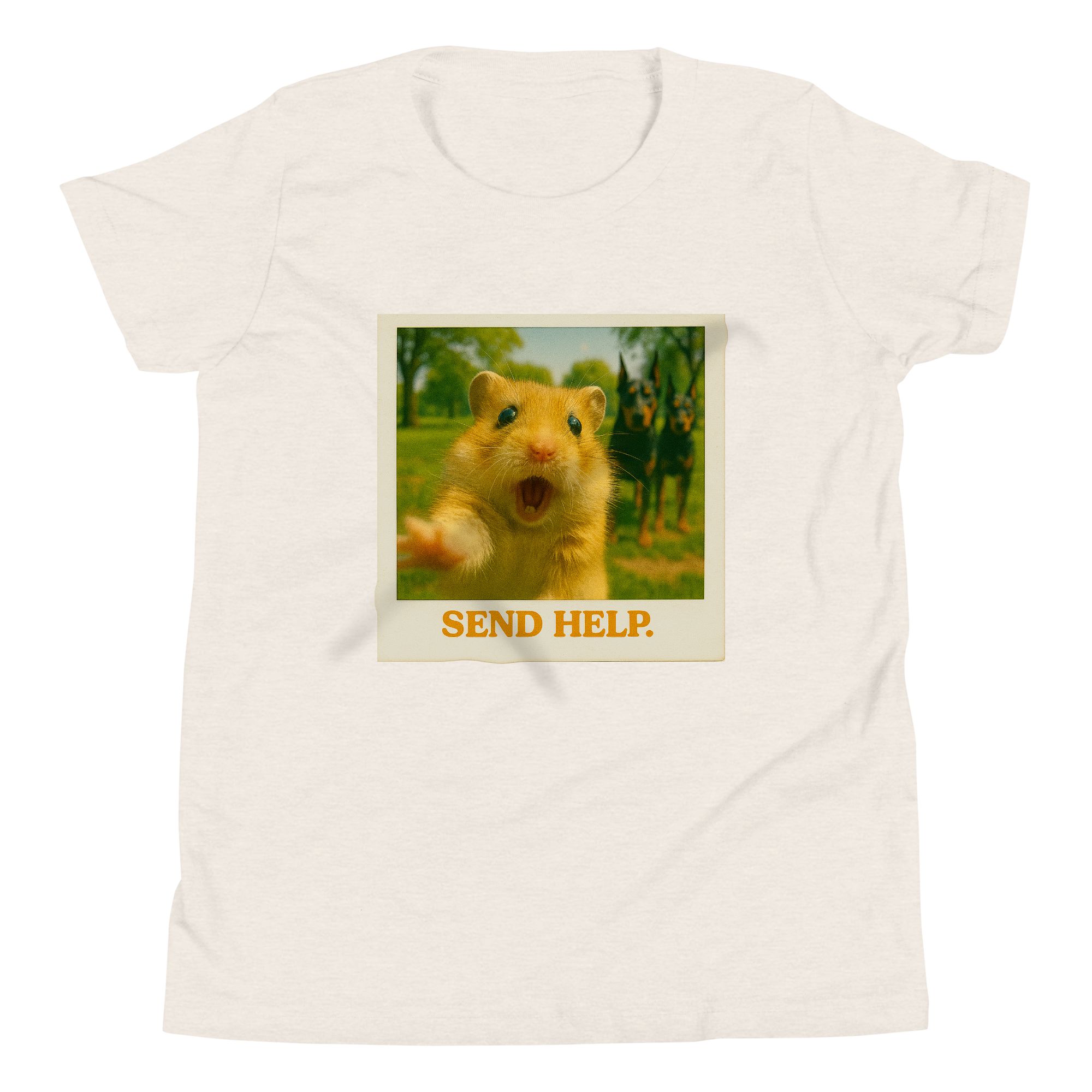 "SEND HELP" • Youth T-Shirt