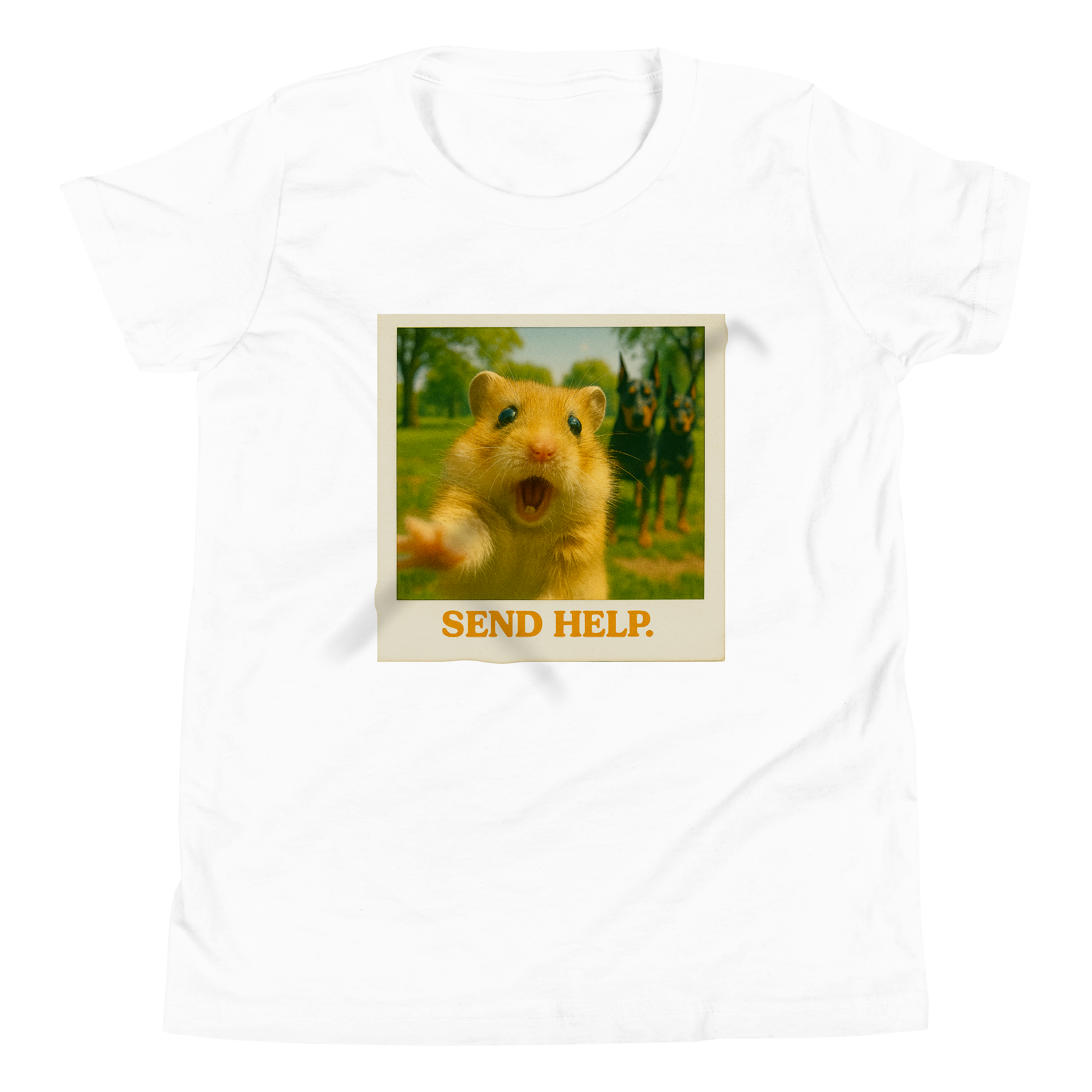"SEND HELP" • Youth T-Shirt