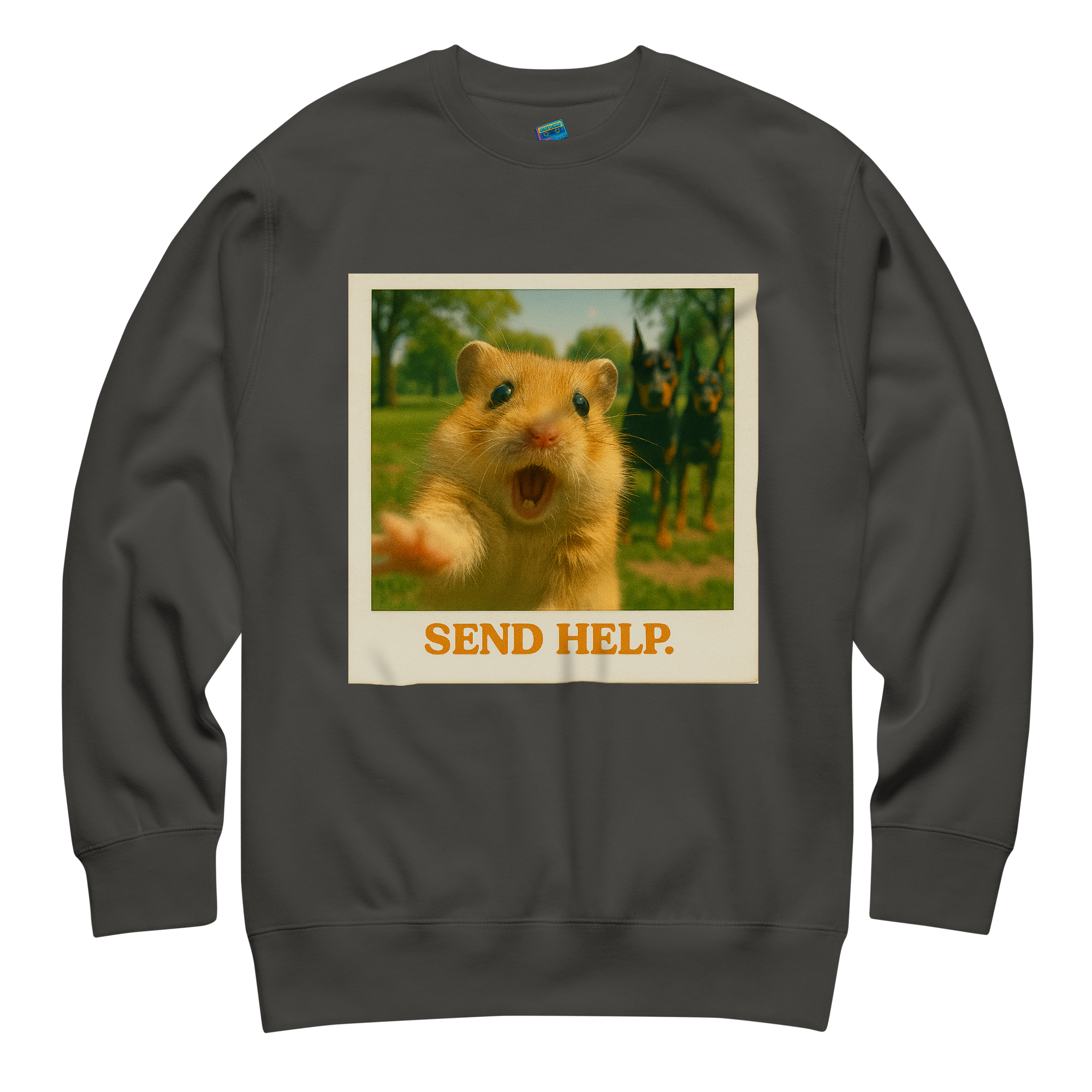 "SEND HELP" • Premium Sweatshirt