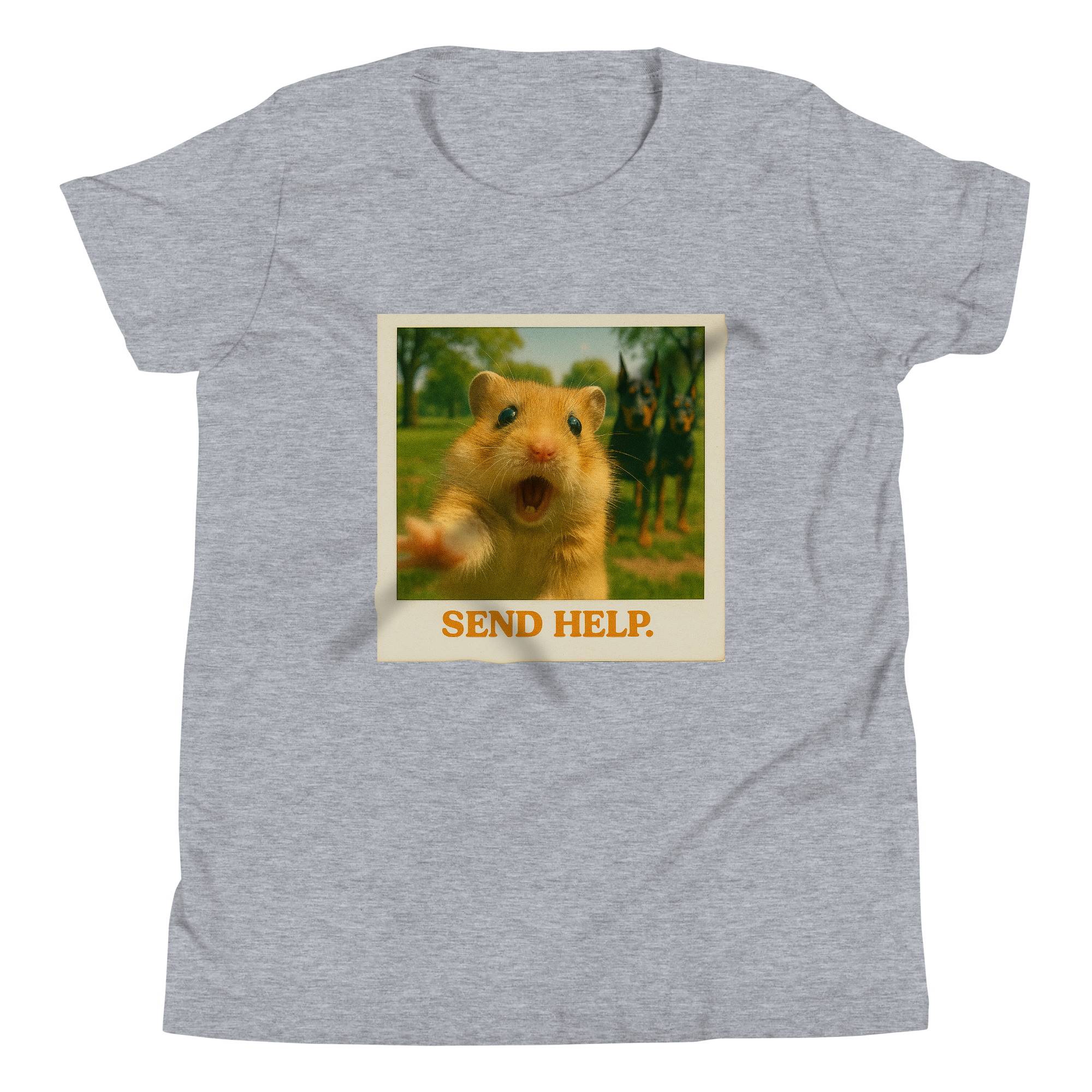 "SEND HELP" • Youth T-Shirt