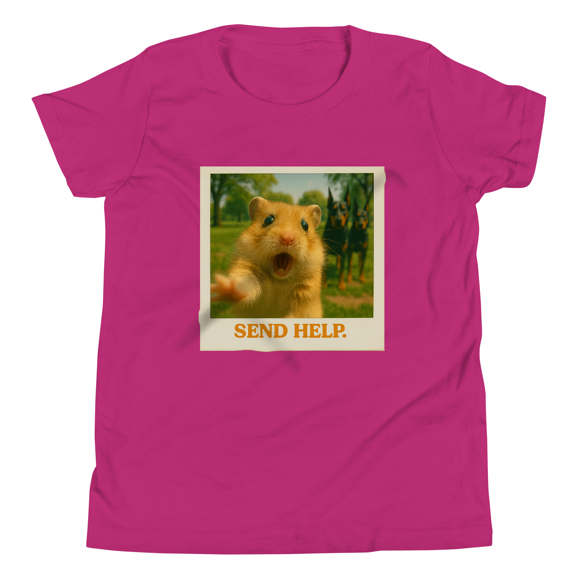 "SEND HELP" • Youth T-Shirt