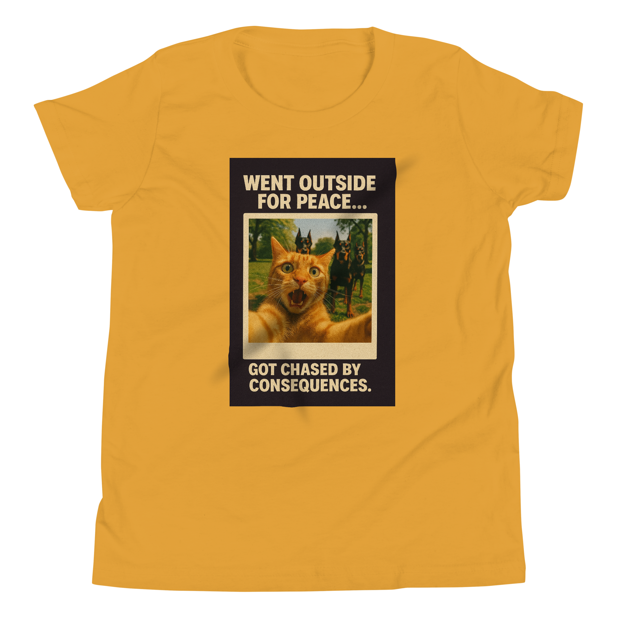 "WENT OUTSIDE FOR PEACE..." • Youth T-Shirt