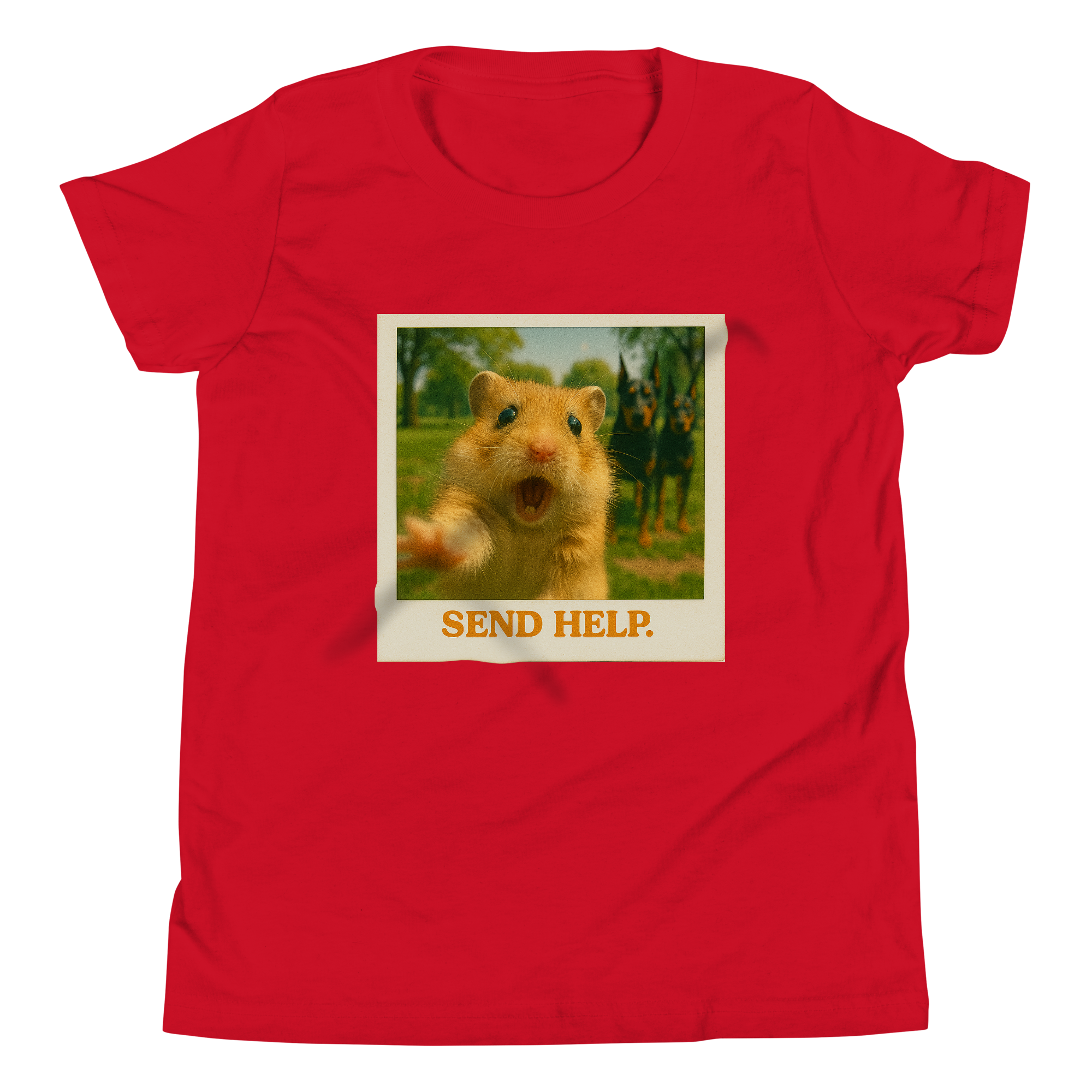 "SEND HELP" • Youth T-Shirt