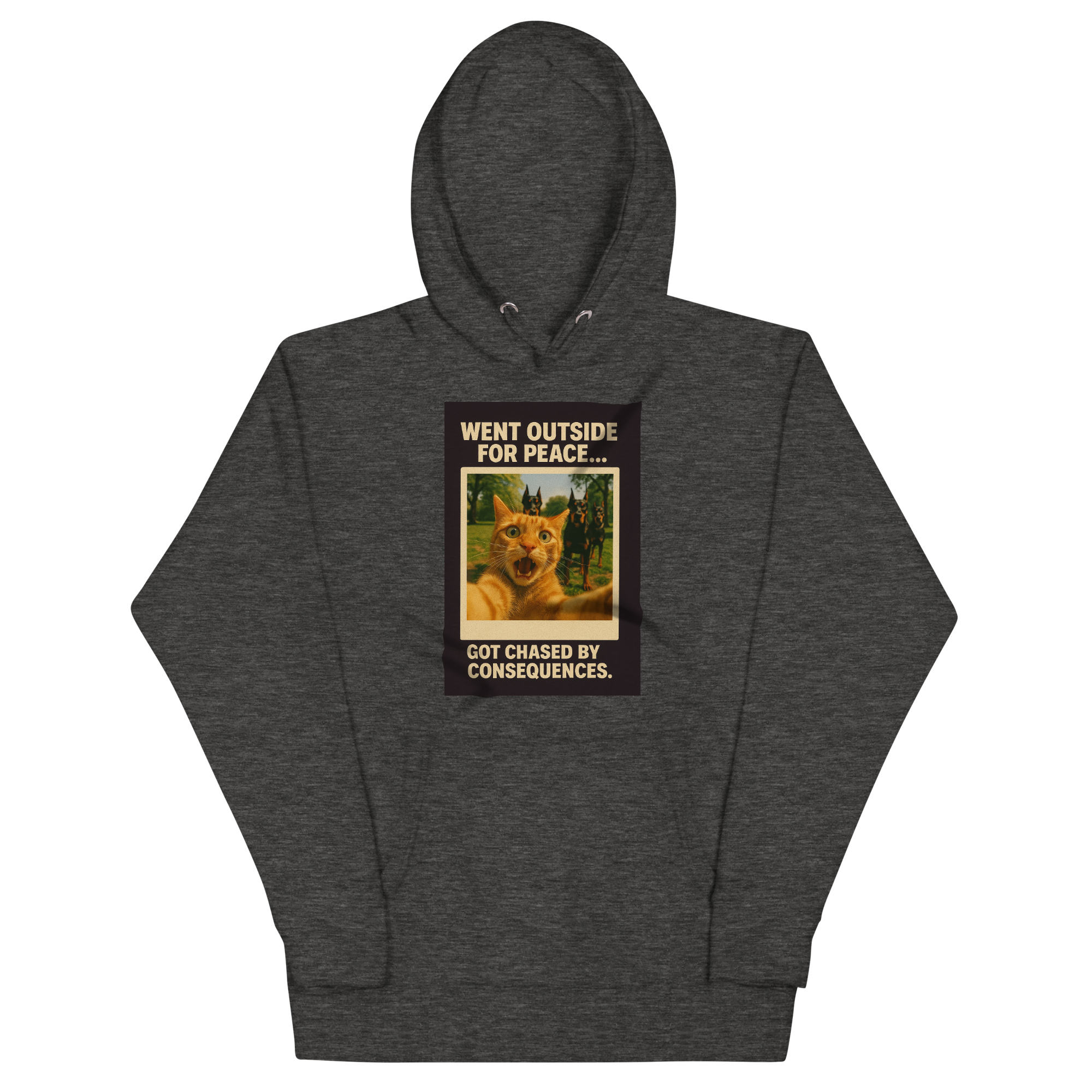 "WENT OUTSIDE FOR PEACE" • Premium Hoodie
