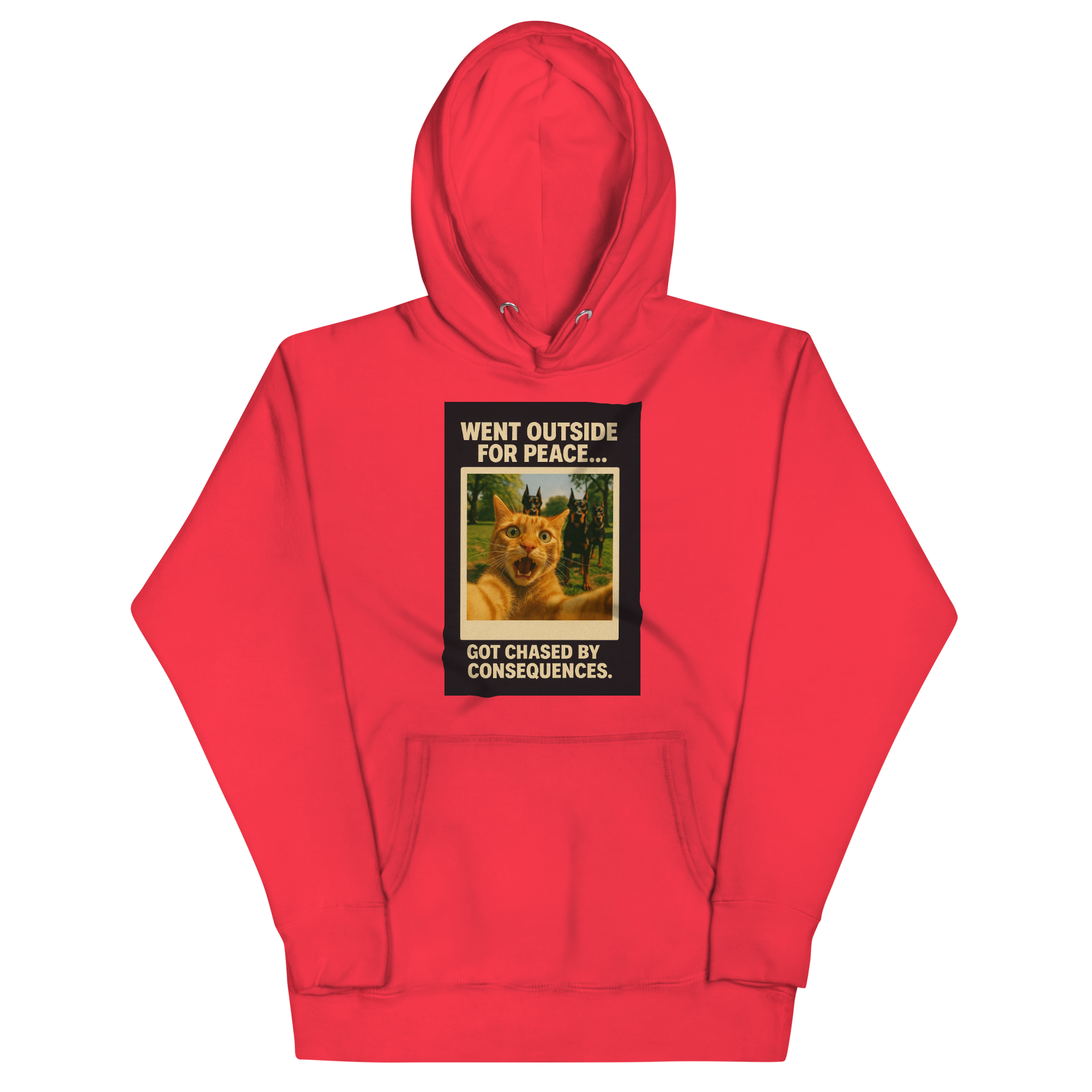 "WENT OUTSIDE FOR PEACE" • Premium Hoodie
