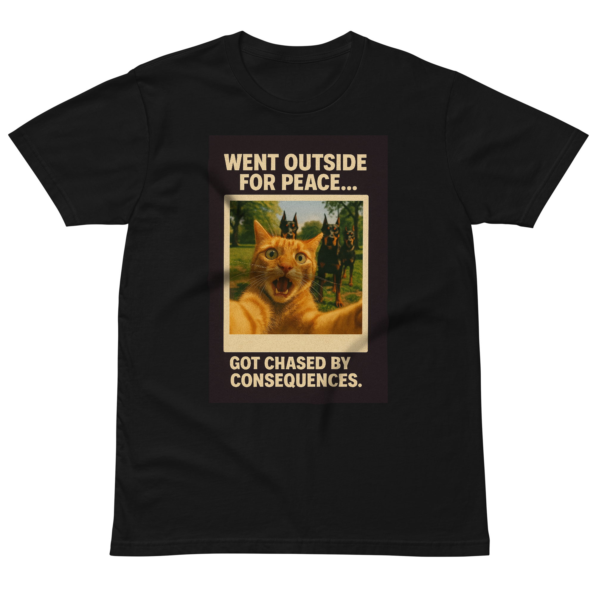 "WENT OUTSIDE FOR PEACE..." • Premium T-shirt