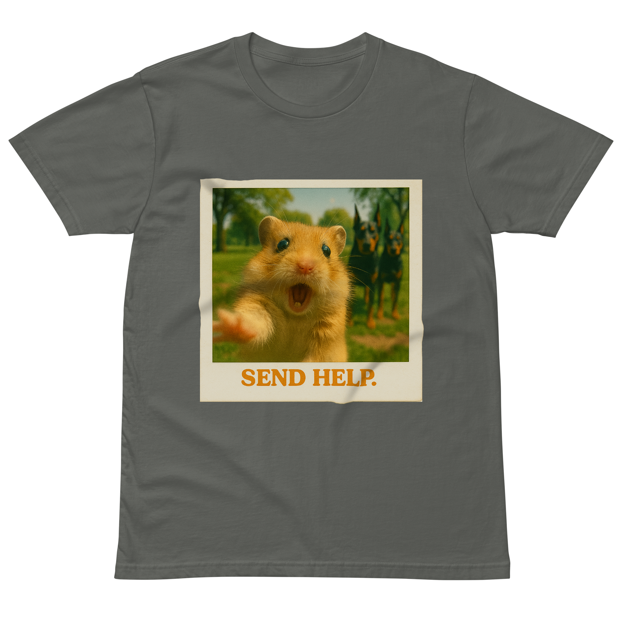 "SEND HELP" • Premium T-shirt