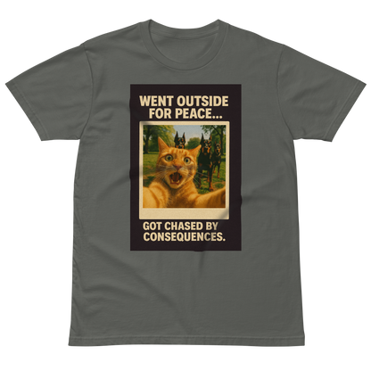 "WENT OUTSIDE FOR PEACE..." • Premium T-shirt