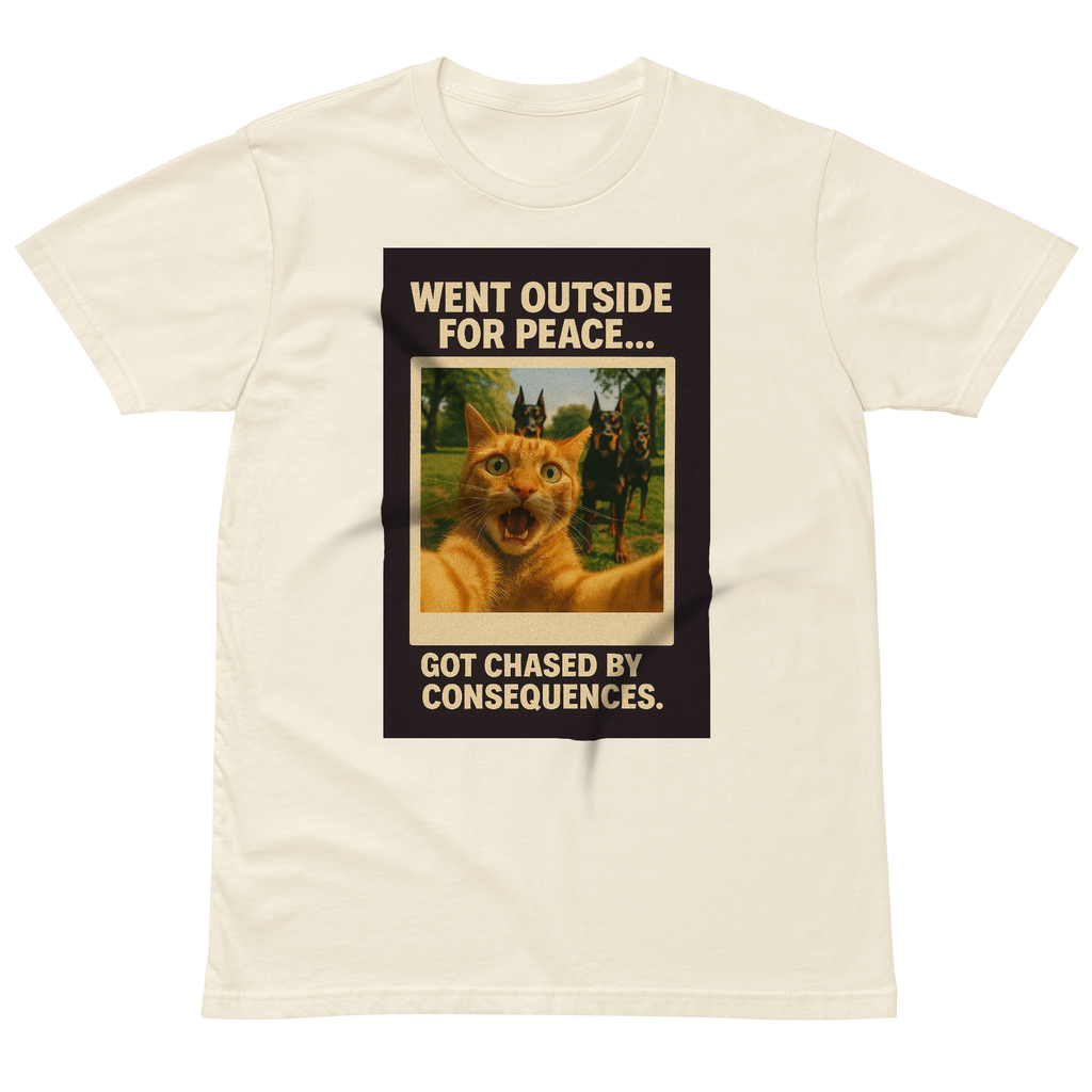 "WENT OUTSIDE FOR PEACE..." • Premium T-shirt