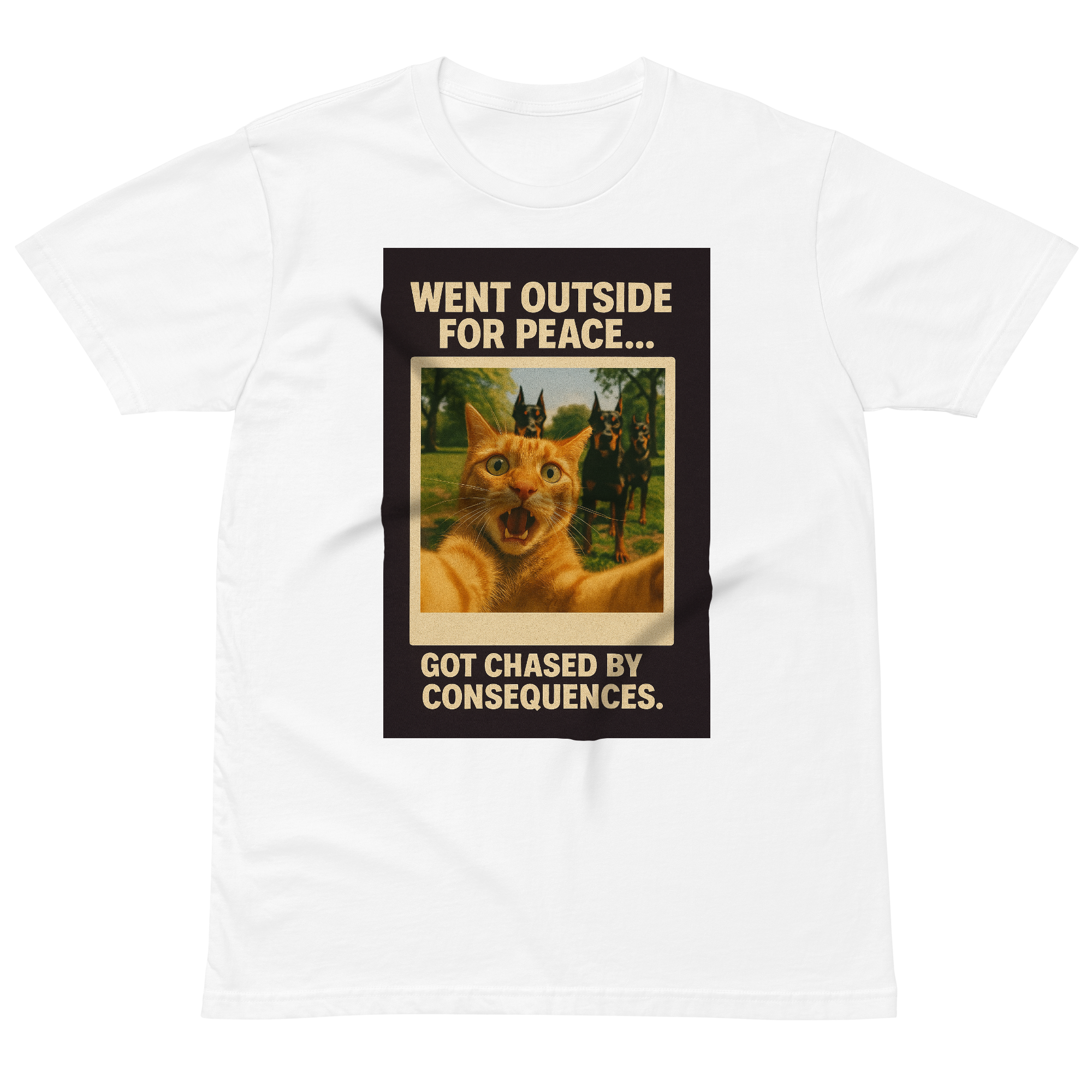 "WENT OUTSIDE FOR PEACE..." • Premium T-shirt