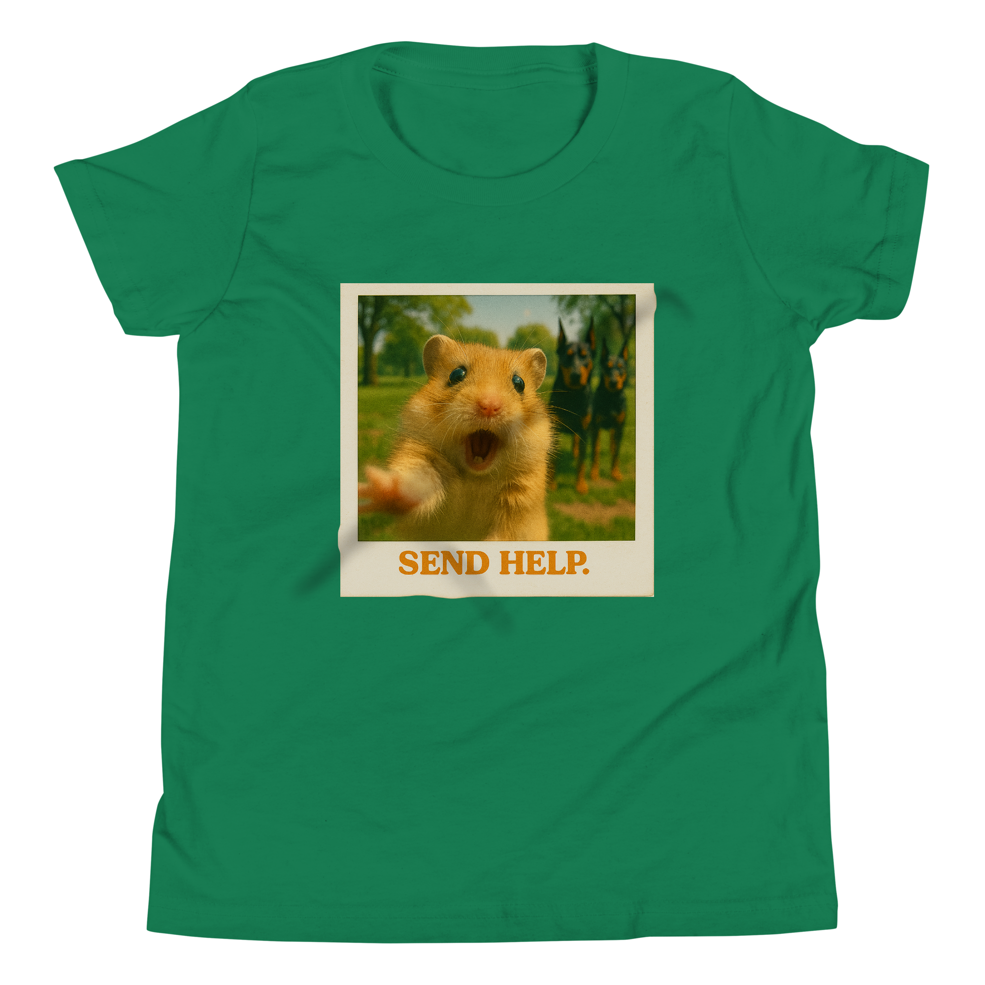 "SEND HELP" • Youth T-Shirt