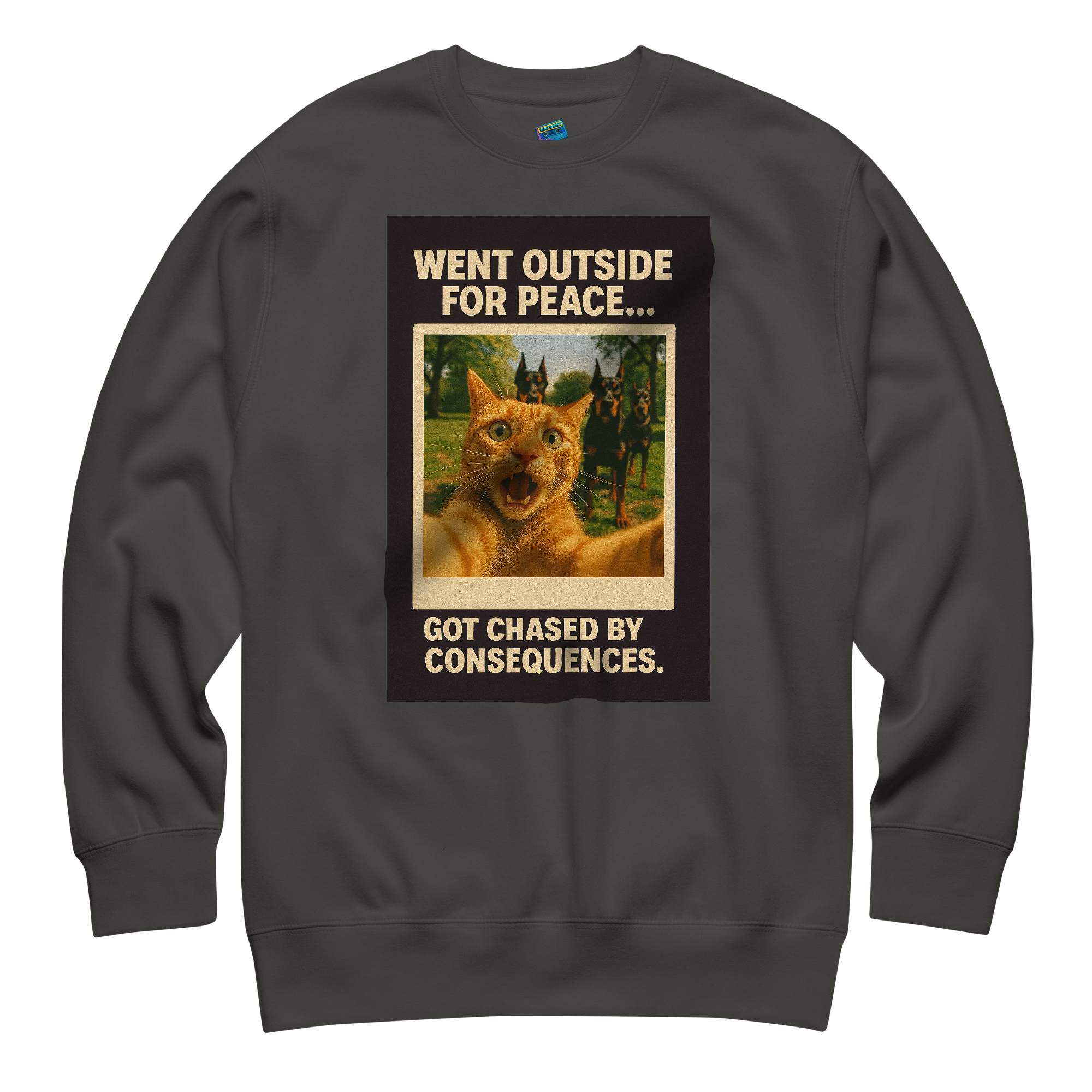 "WENT OUTSIDE FOR PEACE..." • Premium Sweatshirt