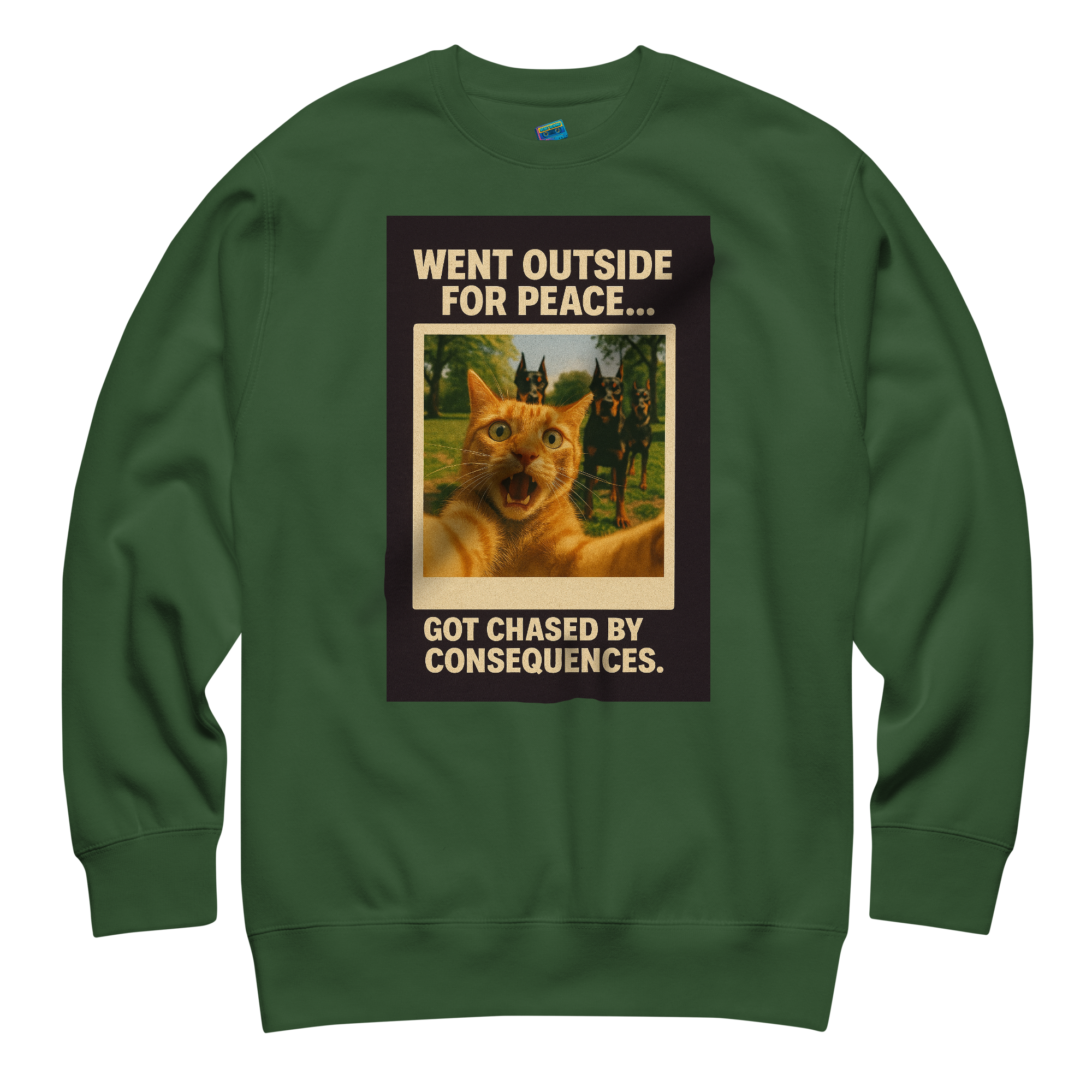 "WENT OUTSIDE FOR PEACE..." • Premium Sweatshirt